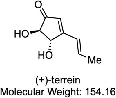 The Fungal Metabolite (+)-Terrein Abrogates Ovariectomy-Induced Bone Loss and Receptor Activator of Nuclear Factor-κB Ligand–Induced Osteoclastogenesis by Suppressing Protein Kinase-C α/βII Phosphorylation